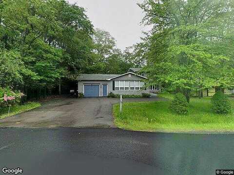 Scotch Pine, POCONO SUMMIT, PA 18346