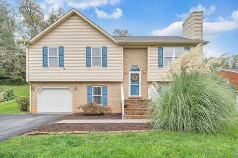 Maple, TROUTVILLE, VA 24175