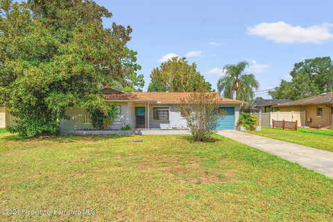 Orion, SPRING HILL, FL 34606