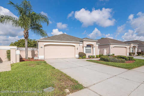 Royal Palm, SPRING HILL, FL 34608