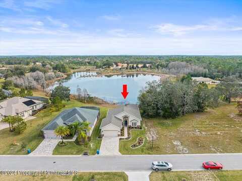 Trevino, WEEKI WACHEE, FL 34613