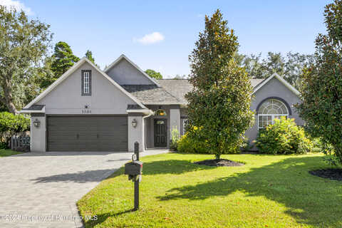 Panther, SPRING HILL, FL 34607