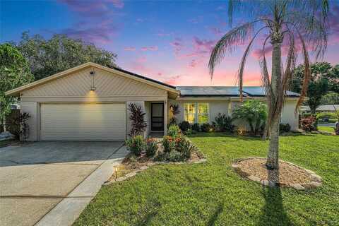 Sweetbriar, OLDSMAR, FL 34677