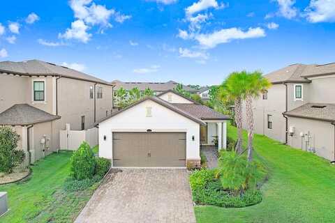 San Martino, WESLEY CHAPEL, FL 33543