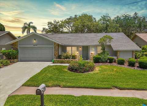 Hollow Trail, PALM HARBOR, FL 34684