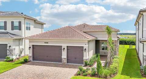 Tree Of Life, WESLEY CHAPEL, FL 33543