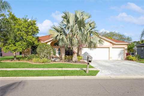 Saddlewood, PALM HARBOR, FL 34685