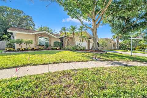 Anthony, CLEARWATER, FL 33759