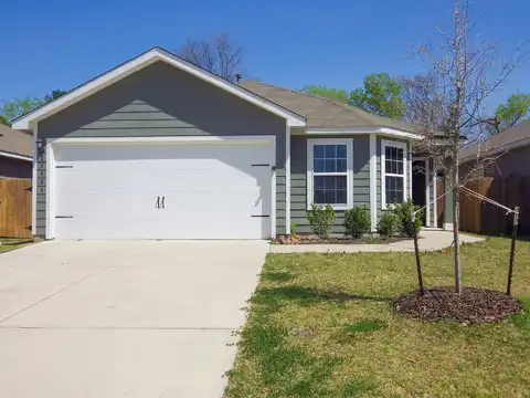 Titian, MAGNOLIA, TX 77355