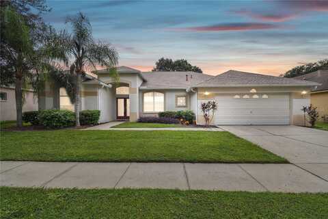Ridge, VALRICO, FL 33594