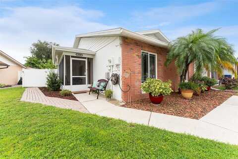 Paint Branch, BRANDON, FL 33511