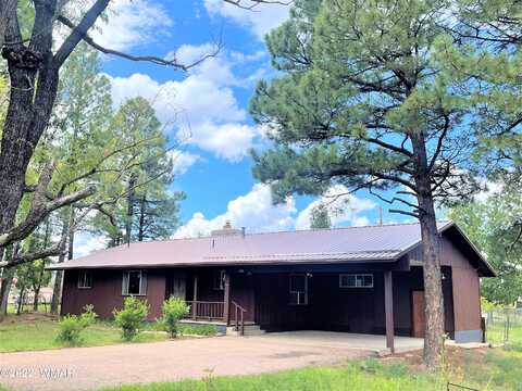 Nancy, LAKESIDE, AZ 85929