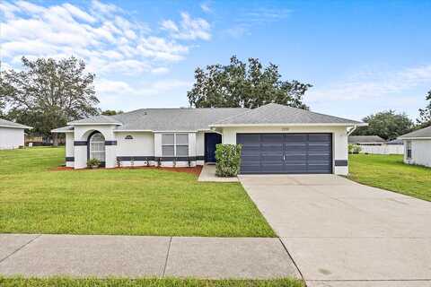 Draw, GRAND ISLAND, FL 32735