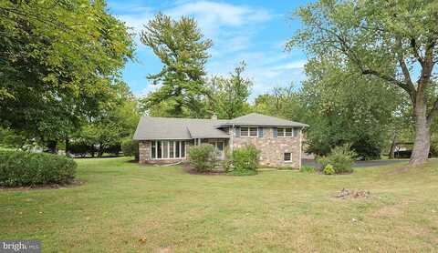 Cedar, ELKINS PARK, PA 19027