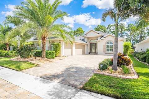 Borassus, NEW SMYRNA BEACH, FL 32168