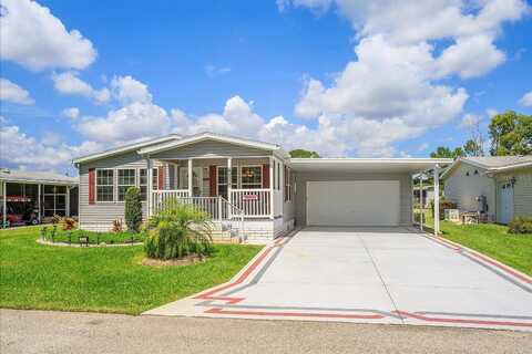 Sago Palm, LEESBURG, FL 34748