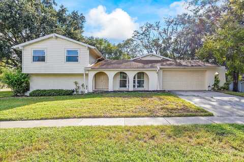 Foggy Ridge, LUTZ, FL 33559