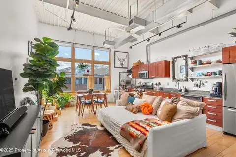 Robinson Street #338, Basalt, CO 81621
