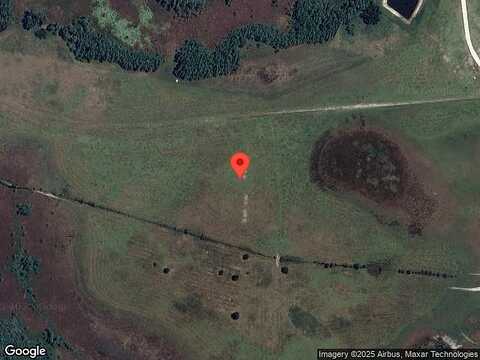 Raised Tulip Lane, Land O Lakes, FL 34637
