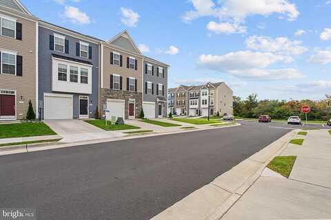 Stribling, Winchester, VA 22602