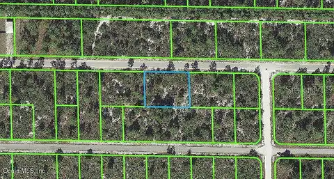 Rhododendron, LAKE PLACID, FL 33852