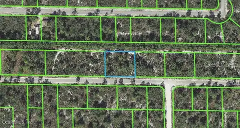 Rhododendron, LAKE PLACID, FL 33852