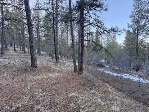 Bobcat Cir #Lot 7, Beatty, OR 97621
