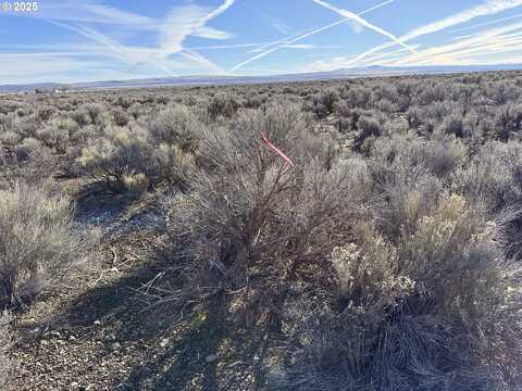 Bark Loop #L-2900, ChristmasValley, OR 97641