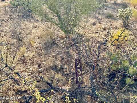 W Bolo Place #250, Tucson, AZ 85736