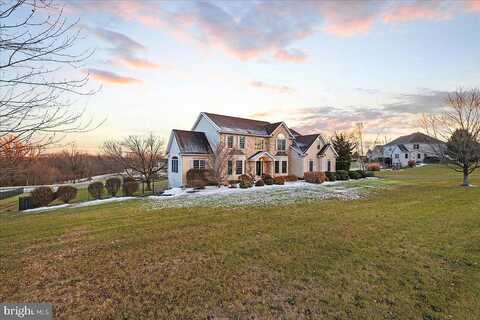 Terry, NAZARETH, PA 18064