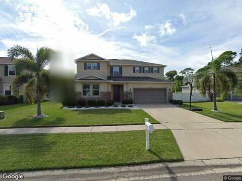 Canton, SAINT PETERSBURG, FL 33712