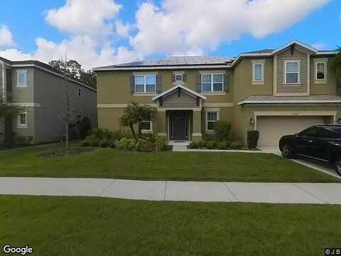 Fiddlewood, WESLEY CHAPEL, FL 33544