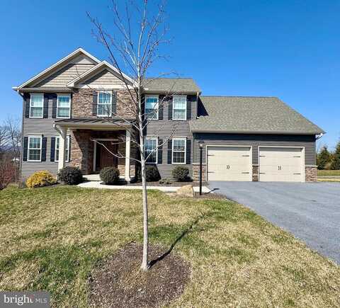 White Birch, HARRISBURG, PA 17112
