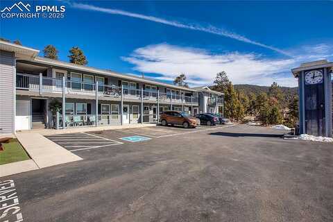 N Laurel Street #H, Woodland Park, CO 80863