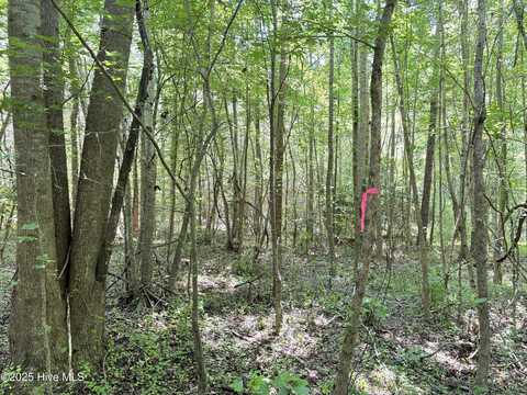 Lot 22 Buckhorn Church Road, Como, NC 27818