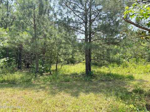 Lot 24 Buckhorn Church Road, Como, NC 27818