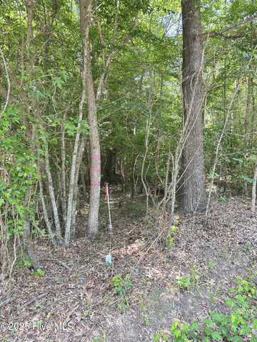 Lot 25 Buckhorn Church Road, Como, NC 27818