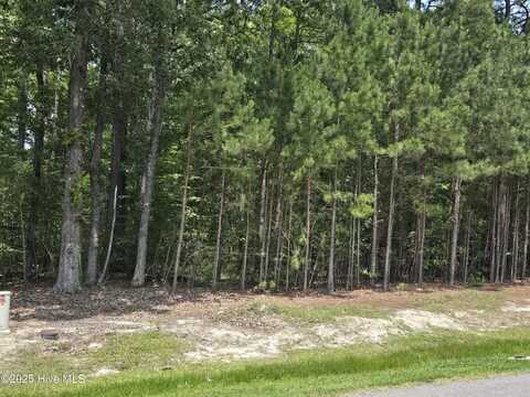 66 Standard Bred Way, Hertford, NC 27944
