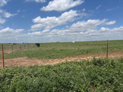 O S Parsley Road, Amarillo, TX 79118