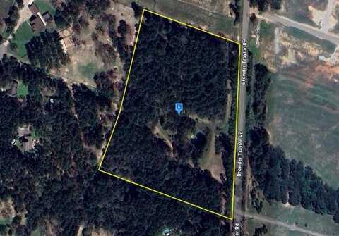 12395 Browder Traylor Road, Conroe, TX 77303