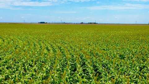 County Road D, Spearman, TX 79081