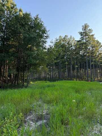 5284 Crosby Chapel, Baxley, GA 31513