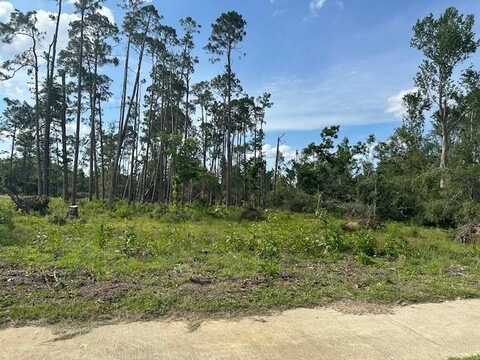 Lot #2 Hwy 280/ Spring Street, Mt. Vernon, GA 30445