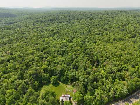 0 Cox Road, Brandon, NY 12966