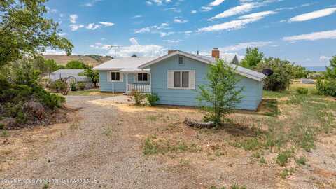 12303 West Spring Circle, Eckert, CO 81418