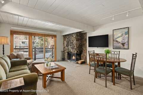 131 E Durant Avenue, Aspen, CO 81611