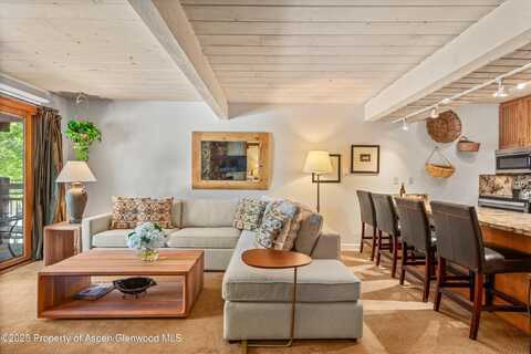 131 E Durant Avenue, Aspen, CO 81611