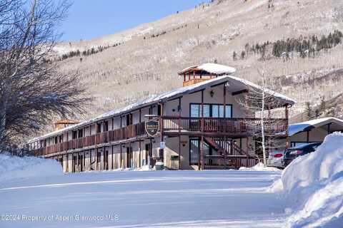 11101 COUNTY ROAD 117, Glenwood Springs, CO 81601
