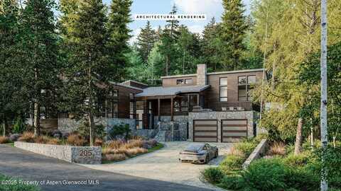 205 LARKSPUR Lane, Aspen, CO 81611