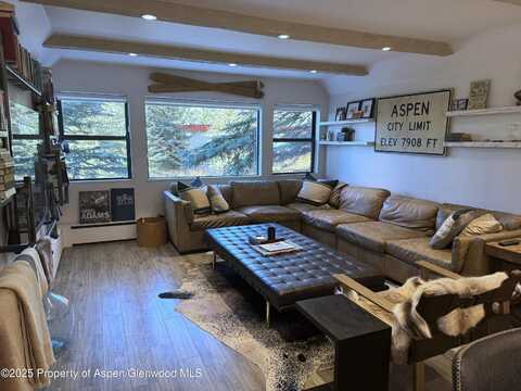 927 VINE Street, Aspen, CO 81611